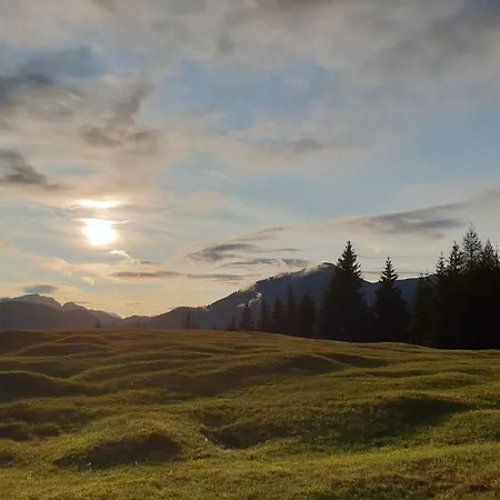 Gacceman Séjour à la ferme *